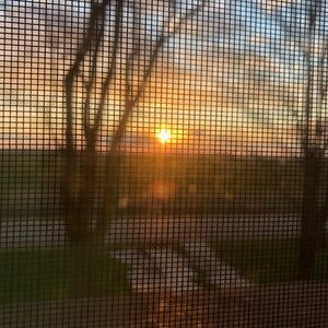 Meet your Posher, Chloe